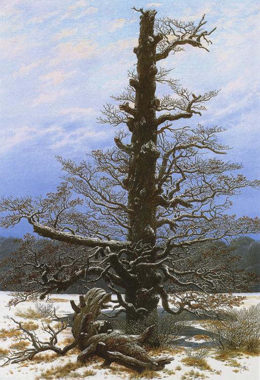 Caspar David Friedrich Oak Tree in the Snow (mk10) oil painting picture